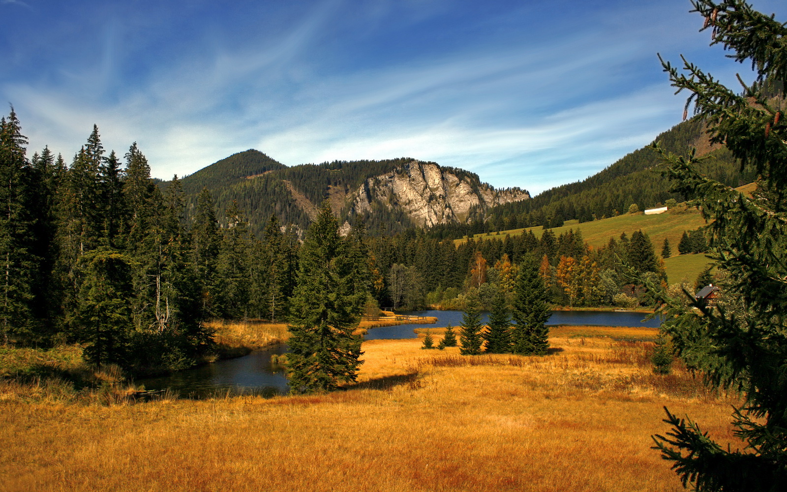 自由泳滑行、拉水、出水三阶段节奏细解，自由泳 拉水