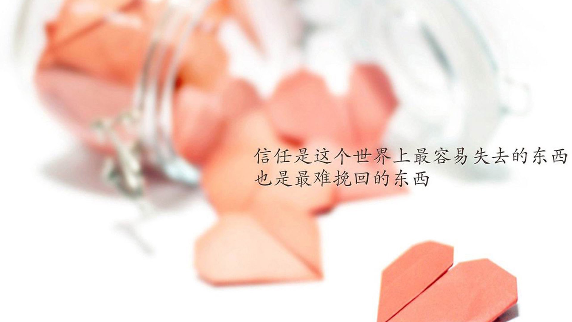 女子拳击项目奥运席位争夺进入白热化，奥运女子拳击赛